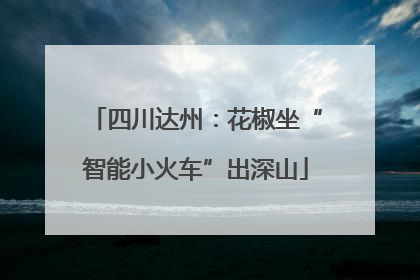 四川达州：花椒坐“智能小火车”出深山